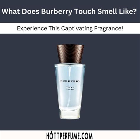 what does burberry sport smell like|which Burberry perfume smells sweet.